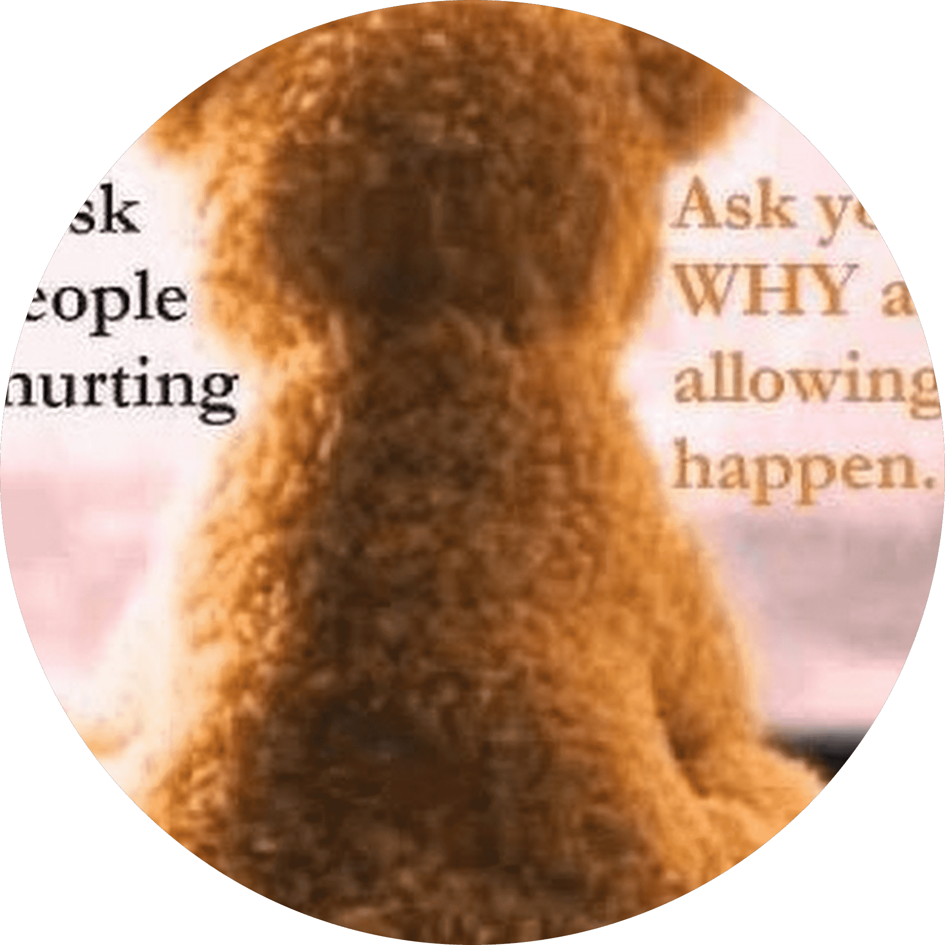 Avatar of author honeylea S.