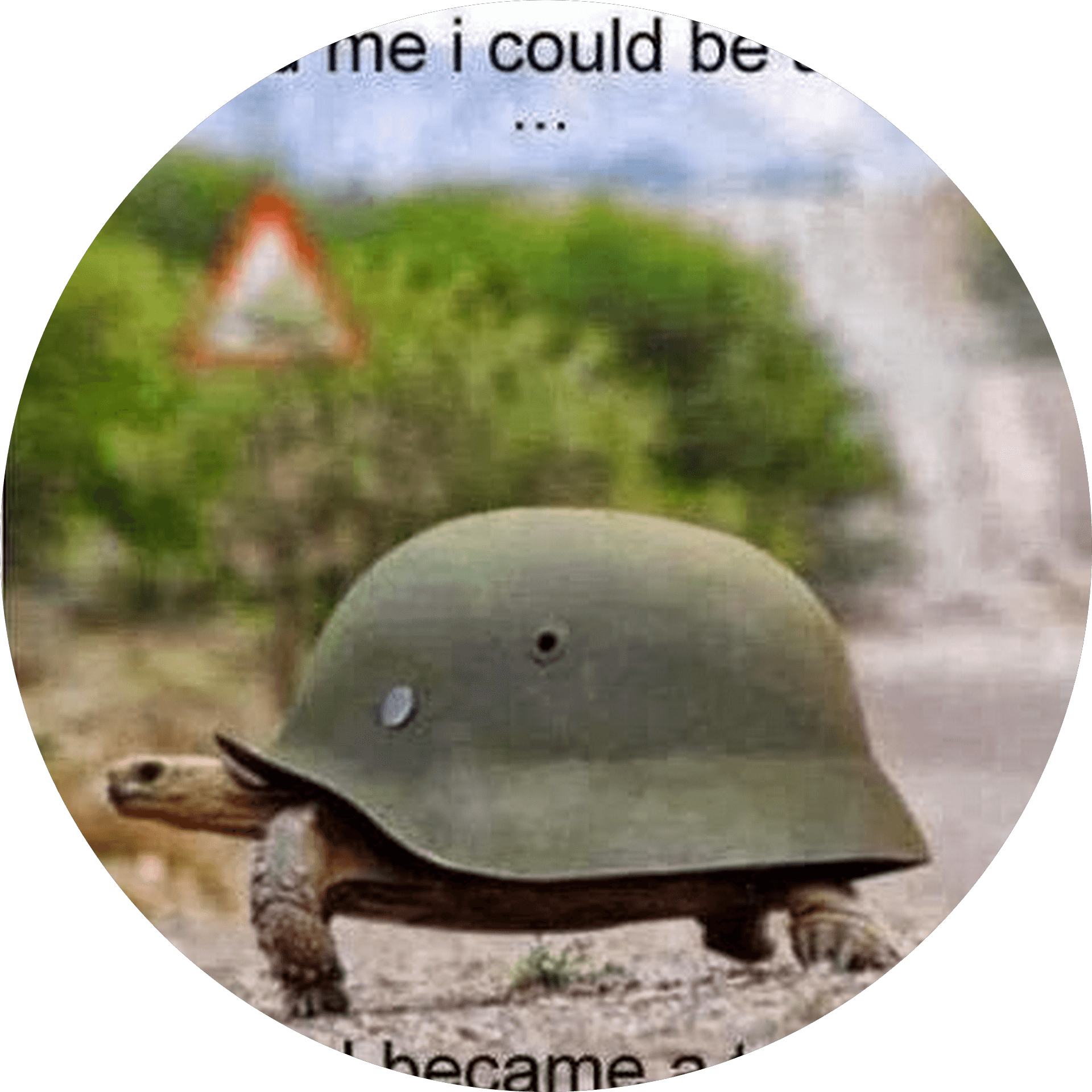 Avatar of author Cannon Fodder