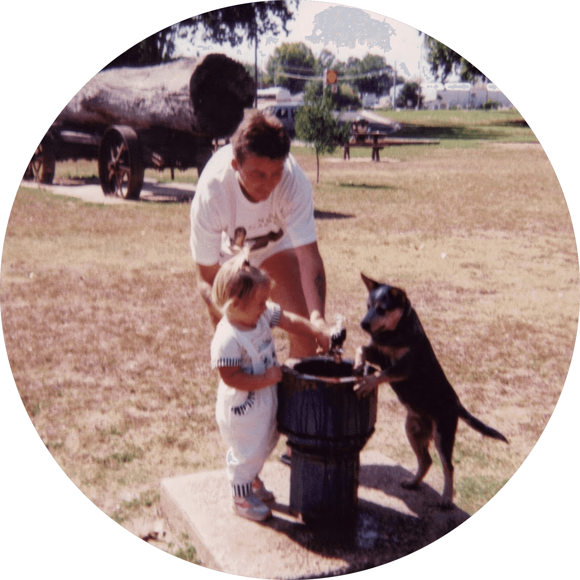 Avatar of author Stephanie Witt