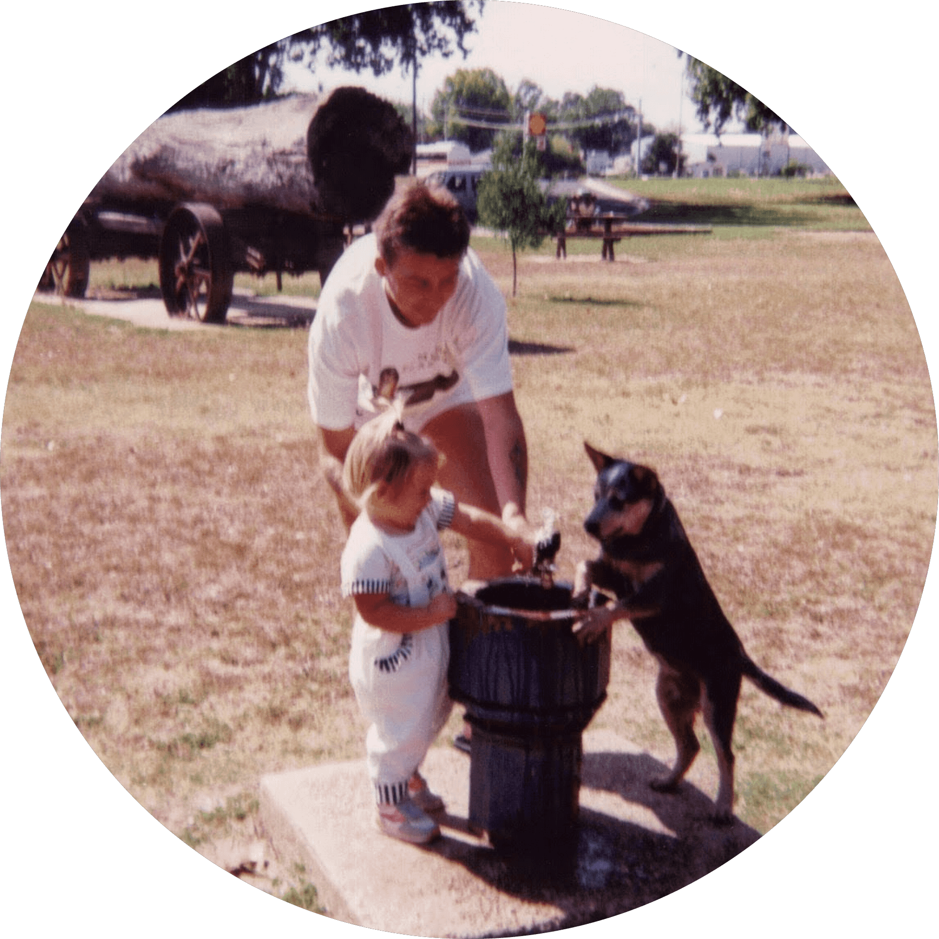 Avatar of author Stephanie Witt