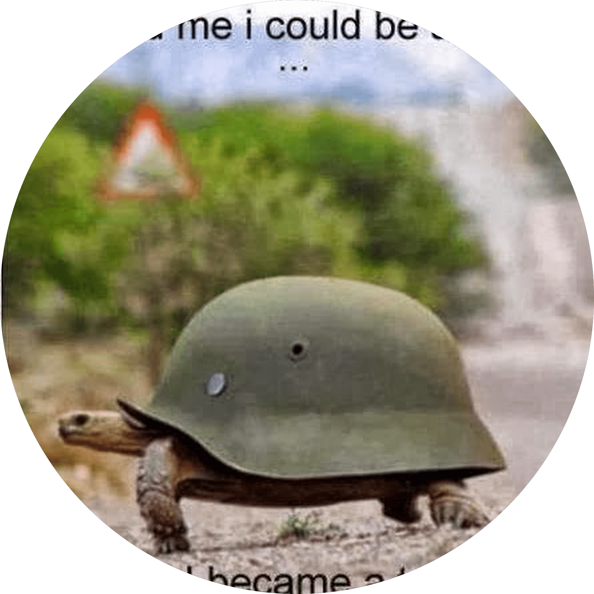 Avatar of author Cannon Fodder